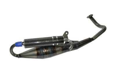 uitlaat GY6 10inch DMP reverse blank+carbon motoren en passen b.v. ook op  Kymco Agility. China Scooter 4 takt scooteronderdelen - VDHParts.nl